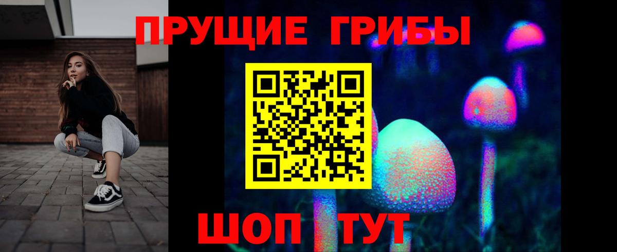 Галлюциногенные грибы Cubensis  Вход с VPN  Дербент 